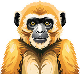 Gibbon isolated on a transparent or white background, vector illustration
