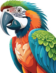 Macaw isolated on a transparent or white background, vector illustration