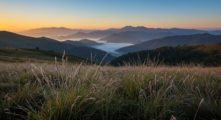 Dewy Grass at Sunrise with Rolling Hills