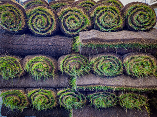 green grass sod rolls stacked high. full frame landscape concept abstract background. turf roll...