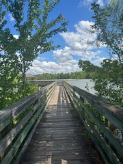 Fototapeta premium wooden bridge in the forest