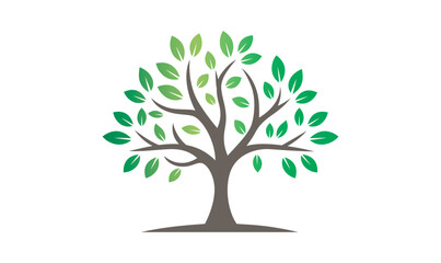 Tree vector illustrations simple minimalist forest tree vector isolated