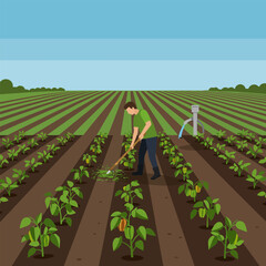 Farmer Weeding Vegetable Field with Hoe Under Blue Sky Illustration