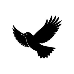 wild bird in flight silhouette on white background 