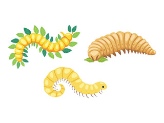 Obraz premium vector illustration of a Witchetty Grub (Edible Larvae of Moths, Traditionally Eaten Raw or Cooked)