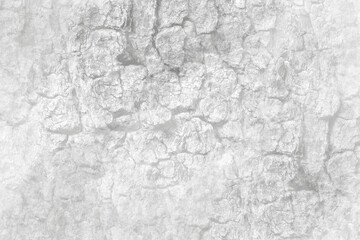 Abstract grunge concrete wall distressed texture background