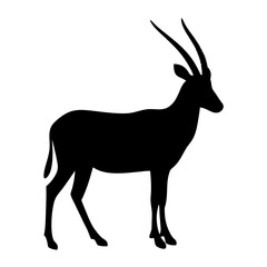 Obraz premium Silhouette of majestic oryx antelope with long horns in stark contrast