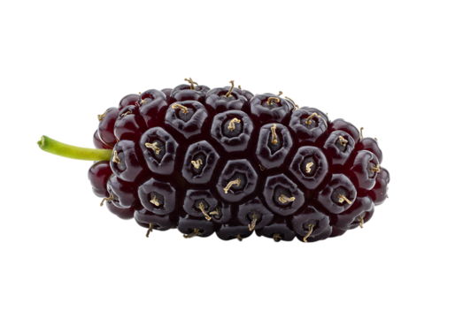 Mulberry isolated on transparent background, close up view. use for: healthy recipes, product mockups, educational content.