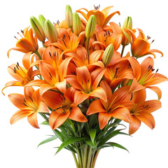 Obraz premium bouquet of orange lilies