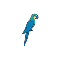Colorful macaw parrot vector illustration