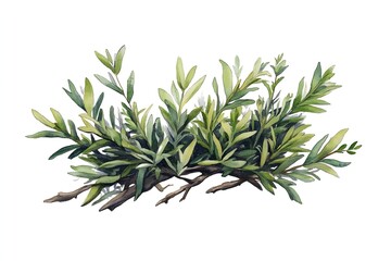 Obraz premium A cluster of vibrant green leaves and branches, rendered in a painterly style, against a white background