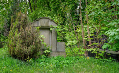 Vegetation überwuchert einen alten Grabstein auf dem "St. Jacobi-Friedhof" an der Hermannstraße in Berlin-Neukölln - Inschriften teilweise retuschiert