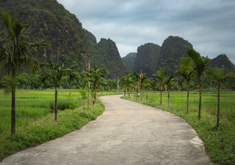 Scenic path  among rice fields and limestone mountains of Tam Coc area in Ninh Binh 