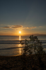 Orewa Sunrise 