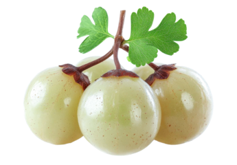 amla fruit with leaves on white background