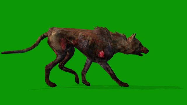 Scary Dog on Green Screen Walking Left 3D Rendering Animation Zpmbie Dog