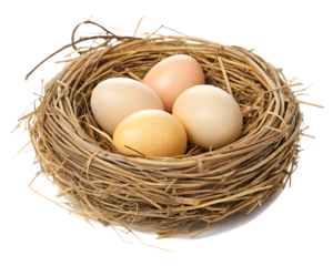 eggs in straw nest isolated on white background .PNG.AI GENERATED