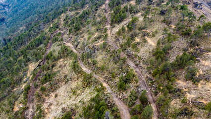 Illegal logging zone showing clear signs of deforestation and forest damage. A critical...