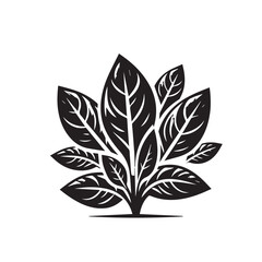 Spinach Leaves Silhouette Vector Set

Black and White Spinach Leaf Icons

Organic Spinach Vector Illustration