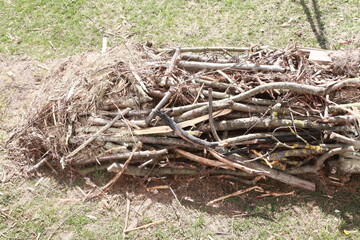creating a raised bed from tree branches