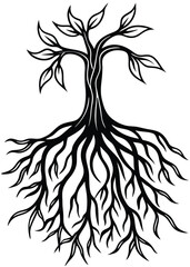 Nature Root Shadow Illustration on White Background