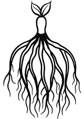 Organic Ink Roots Vector on White Background