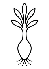 Organic Root Icon Vector on White Background

