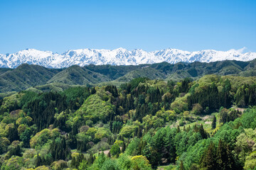Fototapeta premium 小川村アルプス展望デッキ ５月