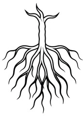 Etched Roots Drawing on White Background
