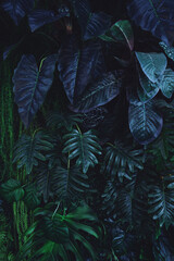 Full Frame of Green Leaves Pattern Background, Nature Lush Foliage Leaf Texture, tropical leaf