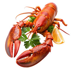lobster isolated on white background