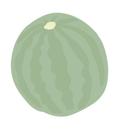 Watermelon Fruit illusrtation