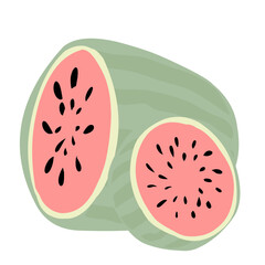 Watermelon Fruit illusrtation
