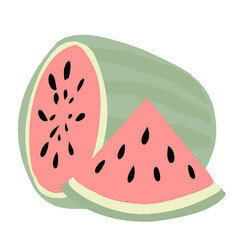 Watermelon Fruit illusrtation