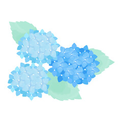Fototapeta premium Hydrangea Cut Illustration Blue – あじさい 青 カットイラスト