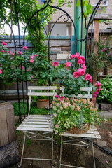 薔薇の花が咲く初夏の初夏のガーデニング　