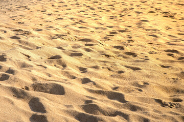 Close-up of a sandy beach with intricate footprints and natural textures, bathed in warm sunlight, ideal for travel and nature themes.