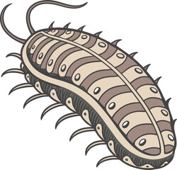 Colored Sea Cucumber Design Illustration. Artistic Sea Cucumber Design Graphic. Sea Cucumber Design with Colorful Style