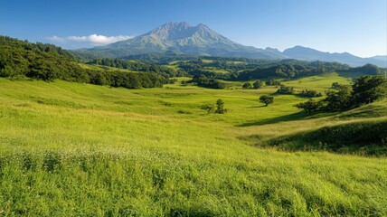 Fototapeta premium Lush Green Meadow and Majestic Mountain under a Clear Blue Sky