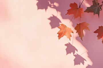 Fototapeta premium Maple leaf shadows falling across a pale rose wall. Autumn vibe for cozy brand visuals.