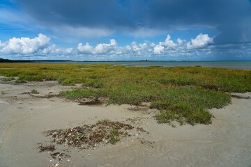 Coastal plains of the English Channel or La Manche at Quettehou in Northern Normandy France with in the background the Tour Vauban La Hougue fortification