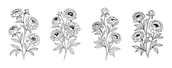 coloring page for kids, black and white line drawing of four peony flowers arranged vertically on a single stem set, vector illustration