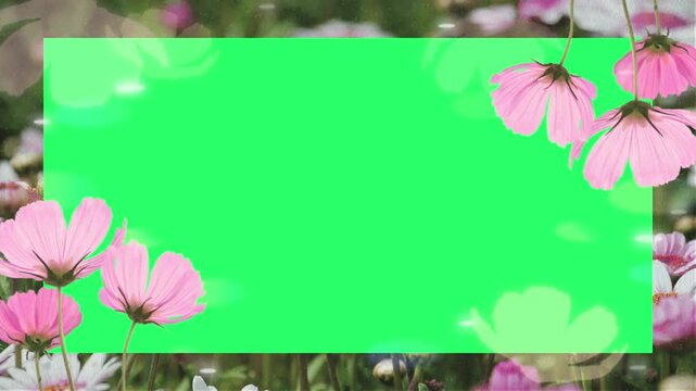 Animation flower card frame with green screen.