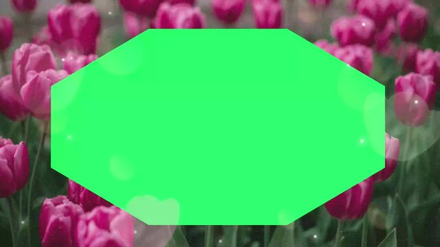Animation flower card frame with green screen.