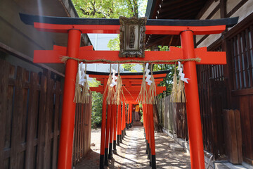 Osaka, Japan - April 13, 2024: Red torii gates mark the entrance to Horikoshi Shrine, a centuries-old Shinto shrine, where it is believed that wishes and prayers are granted.