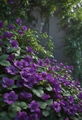 Close-up vibrant purple petals, lush green leaves , garden, macro