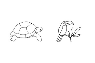 Hand drawn black and white illustration featuring a turtle and a toucan bird on white background.