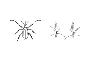 Simple line art illustration of a beetle and wheat plants in a minimalist black and white design
