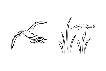 Vector illustration of a flying seagull and alligator in reeds in simple outlines