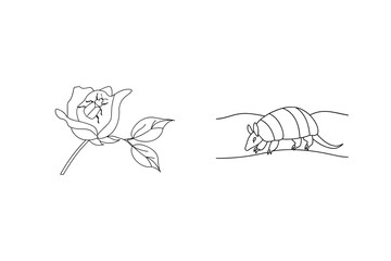Simple outline illustration featuring a beetle in a rose and an armadillo walking along